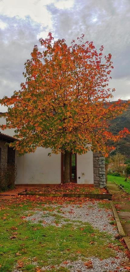 La Calma De Llanes Villa Ngoại thất bức ảnh
